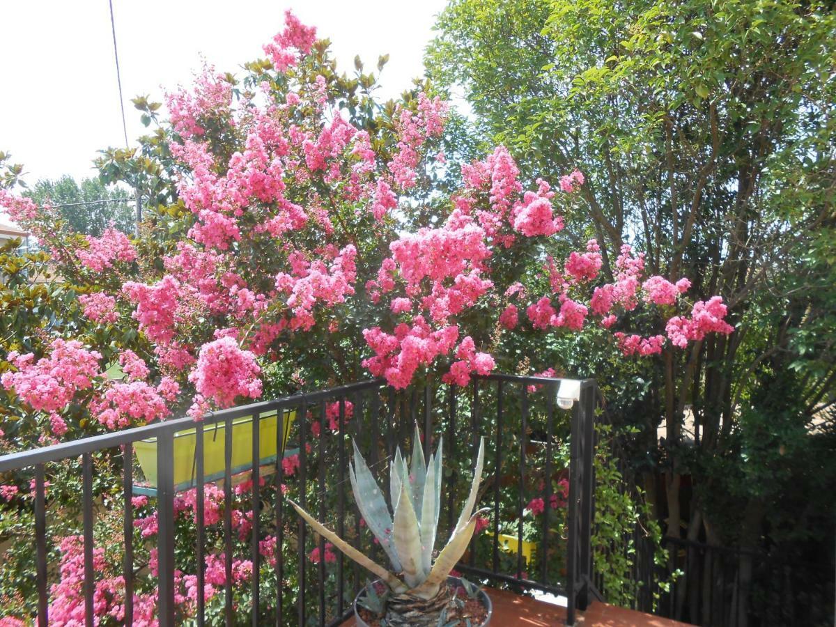 Coursan Maison Monica Exeptionnel-Jardin Paysage Zen מראה חיצוני תמונה